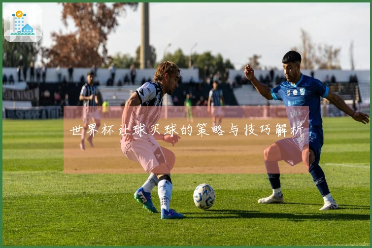 世界杯让球买球的策略与技巧解析