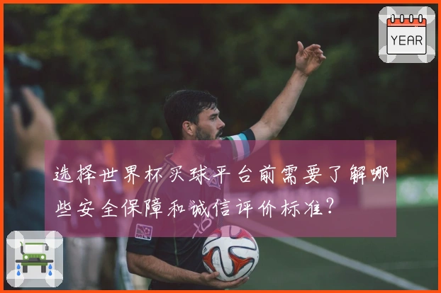 选择世界杯买球平台前需要了解哪些安全保障和诚信评价标准？