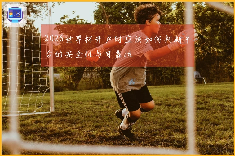 2026世界杯开户时应该如何判断平台的安全性与可靠性