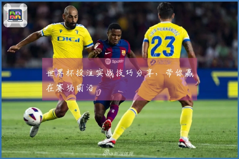 世界杯投注实战技巧分享，带你赢在赛场前沿