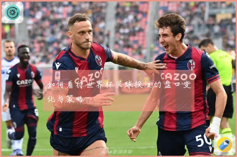 如何看待世界杯买球投注的盘口变化与策略-