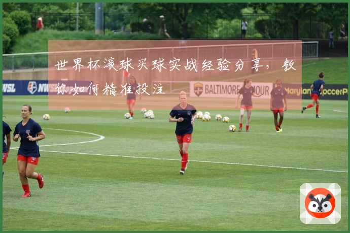 世界杯滚球买球实战经验分享，教你如何精准投注