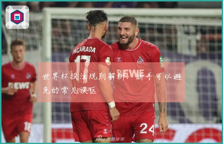 世界杯投注规则解析：新手可以避免的常见误区