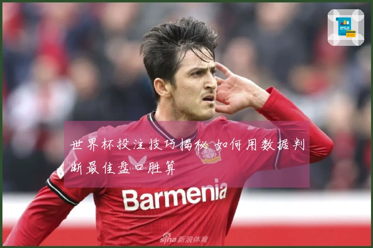 世界杯投注技巧揭秘 如何用数据判断最佳盘口胜算