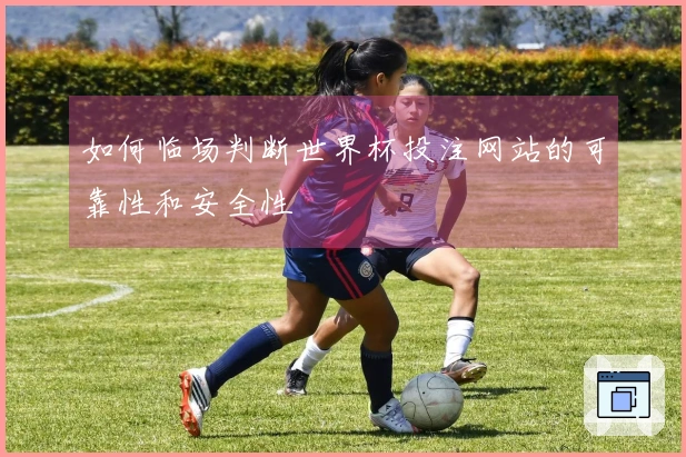 如何临场判断世界杯投注网站的可靠性和安全性