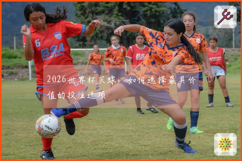 2026世界杯买球，如何选择最具价值的投注选项