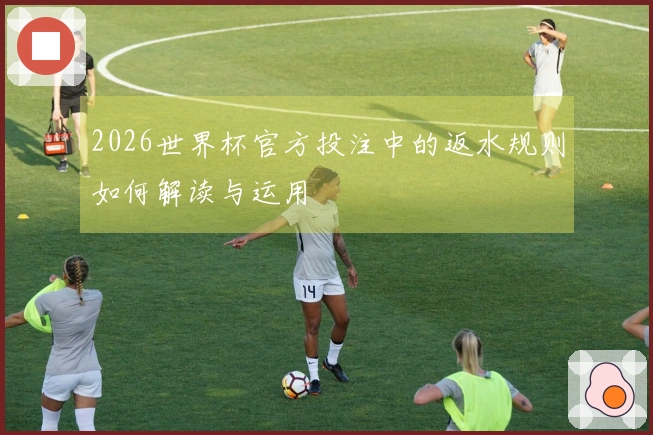 2026世界杯官方投注中的返水规则如何解读与运用