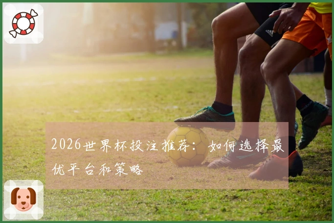 2026世界杯投注推荐：如何选择最优平台和策略