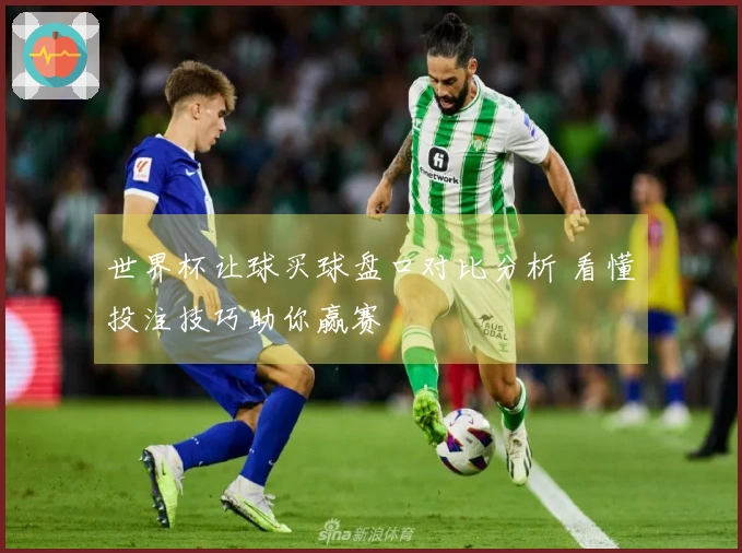 世界杯让球买球盘口对比分析 看懂投注技巧助你赢赛