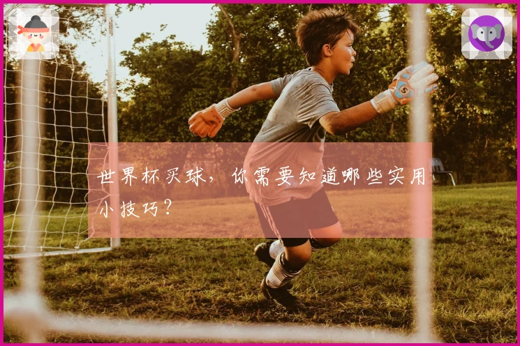 世界杯买球，你需要知道哪些实用小技巧？