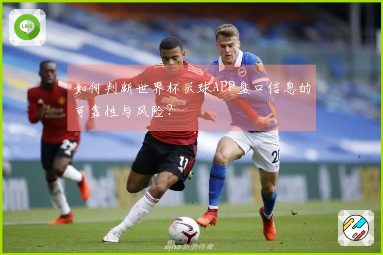 如何判断世界杯买球APP盘口信息的可靠性与风险？