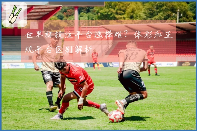 世界杯投注平台选择难？体彩和正规平台区别解析
