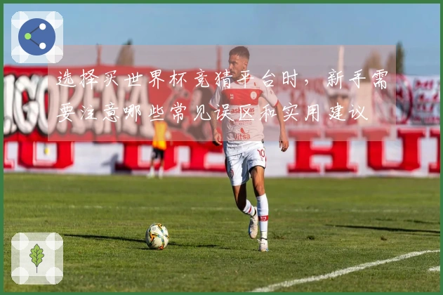 选择买世界杯竞猜平台时,新手需要注意哪些常见误区和实用建议