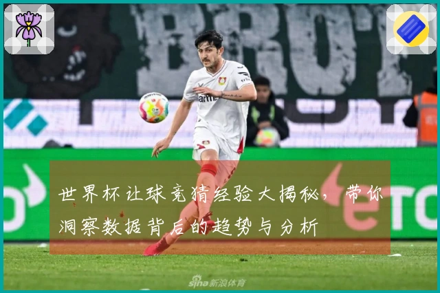 世界杯让球竞猜经验大揭秘，带你洞察数据背后的趋势与分析