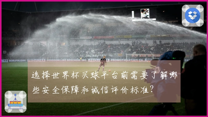 选择世界杯买球平台前需要了解哪些安全保障和诚信评价标准?