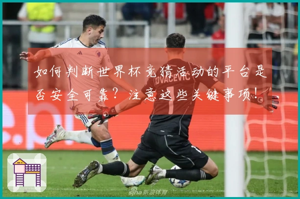 如何判断世界杯竞猜活动的平台是否安全可靠？注意这些关键事项！