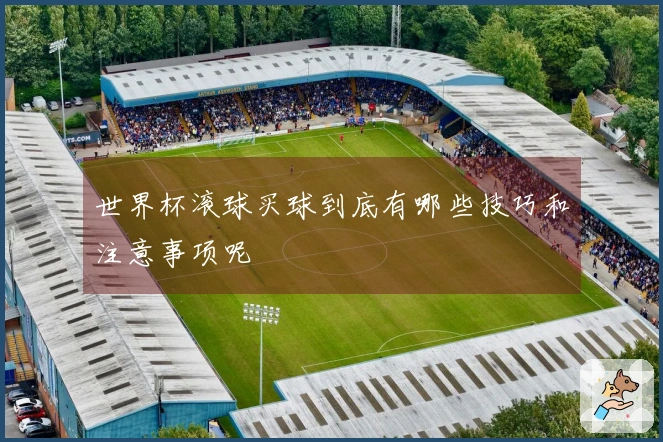 世界杯滚球买球到底有哪些技巧和注意事项呢
