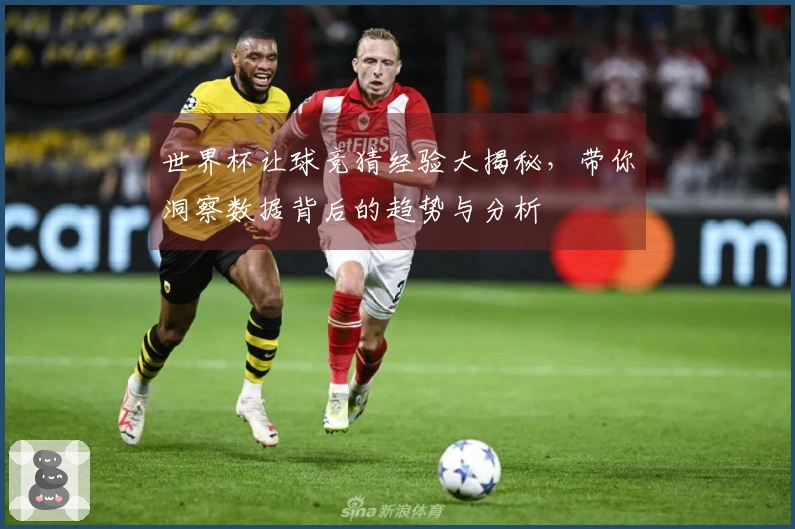 世界杯让球竞猜经验大揭秘，带你洞察数据背后的趋势与分析