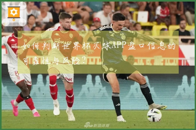 如何判断世界杯买球APP盘口信息的可靠性与风险？