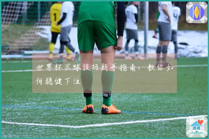 世界杯买球技巧新手指南，教你如何稳健下注