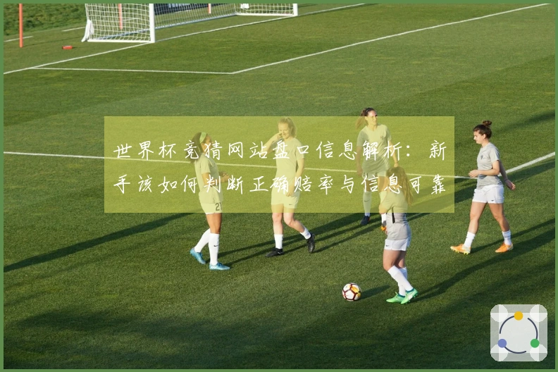 世界杯竞猜网站盘口信息解析：新手该如何判断正确赔率与信息可靠性
