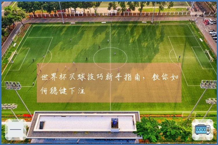 世界杯买球技巧新手指南，教你如何稳健下注