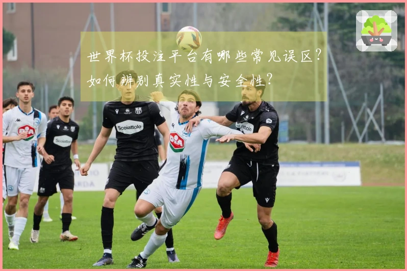 世界杯投注平台有哪些常见误区？如何辨别真实性与安全性？