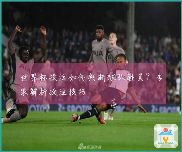 世界杯投注如何判断球队胜负？专家解析投注技巧