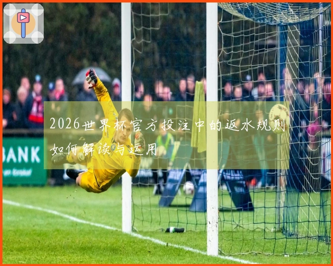 2026世界杯官方投注中的返水规则如何解读与运用