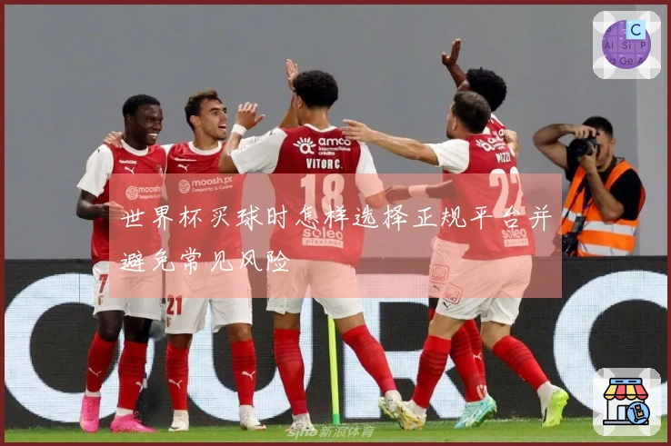 世界杯买球时怎样选择正规平台并避免常见风险